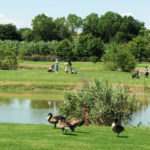 Conero Golf Club Sirolo Marche